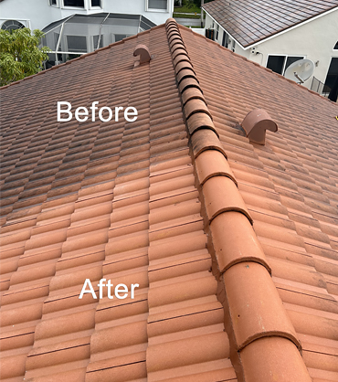 Surface Clean Pressure & Softwash, Roof Cleaning (Before-After)